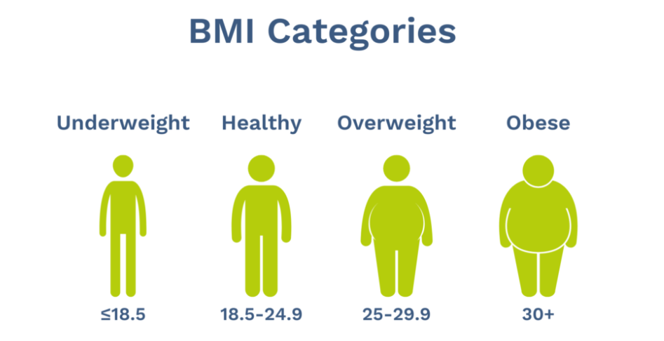 BMI categories underweight healthy overweight obese