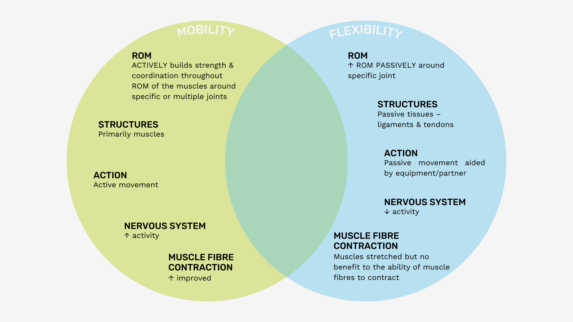 mobility vs flexibility