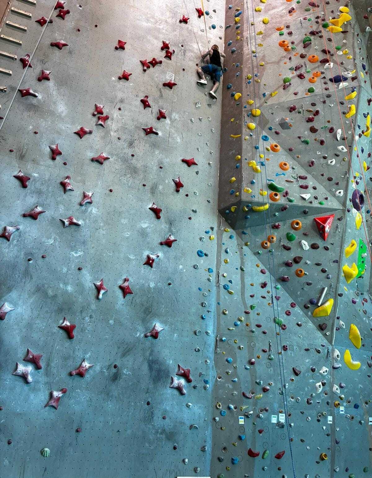 sebastian image1 sebastian image1